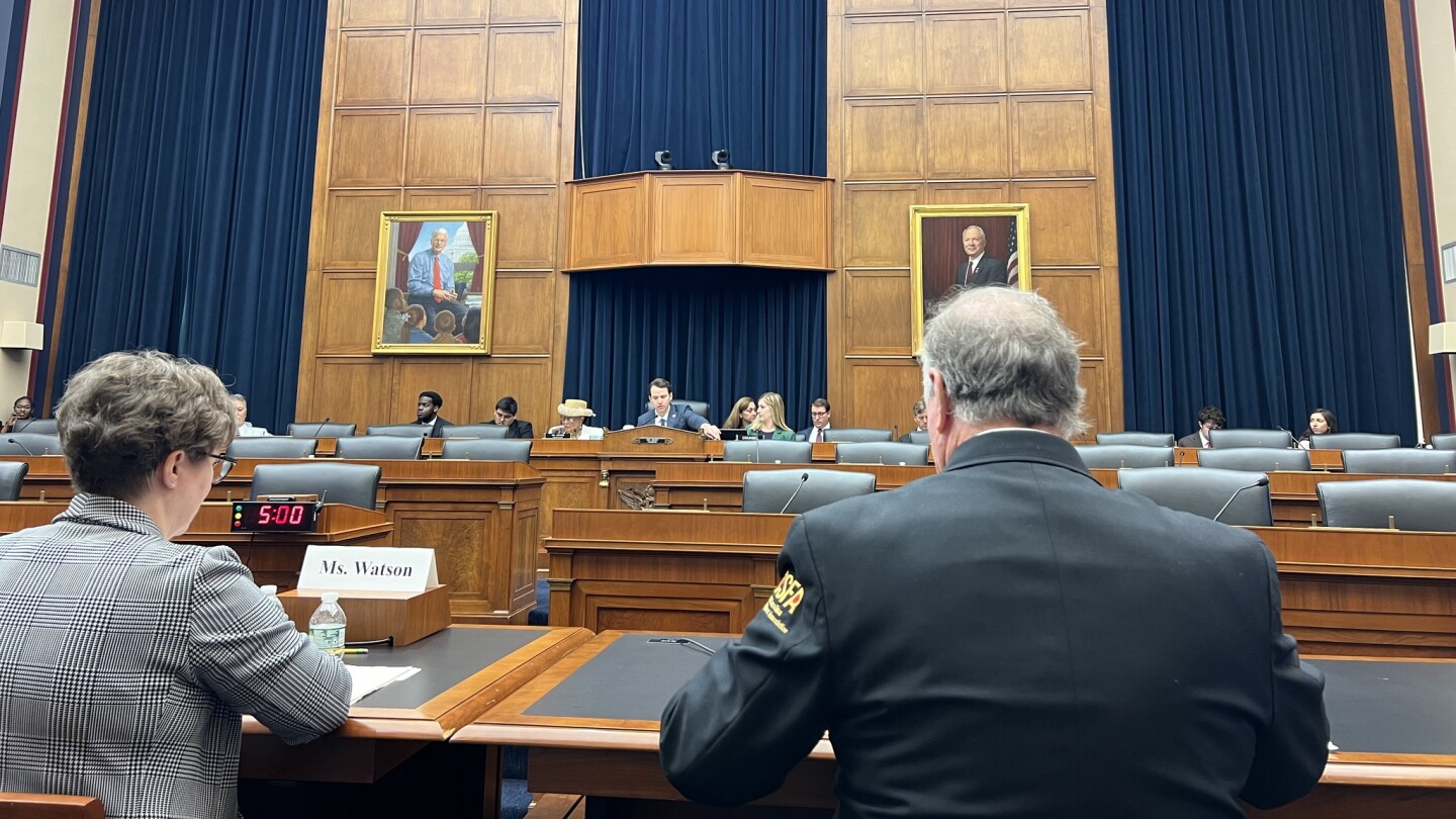 Bradleytestifies.jpg