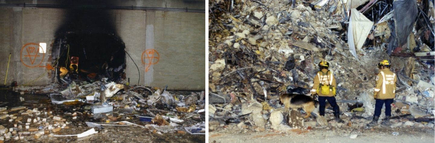 FR1-Pentagon Collage2.png