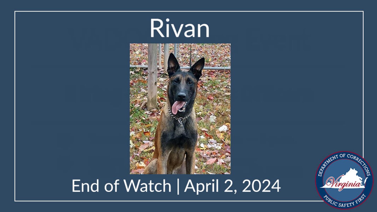 Rivan_End of Watch (1).jpg