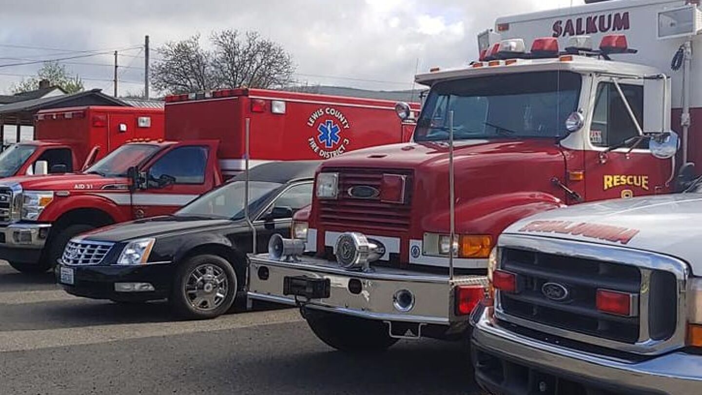 lewis 58737314_2278020775577858_1673797790892818432_o.jpg