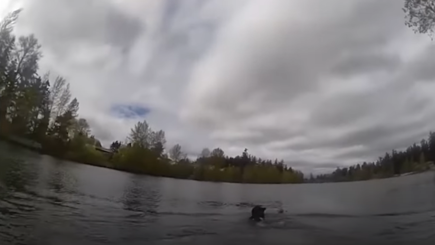 BWC: Wash. officers rescue teen drowning in lake