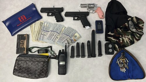 Los Angeles Burglary Arrest