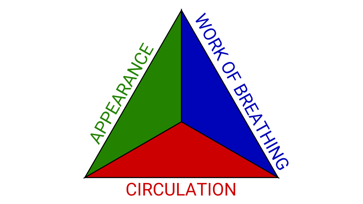 Pat Model Triangle How to use the pediatric assessment triangle to evaluate adult EMS patients
