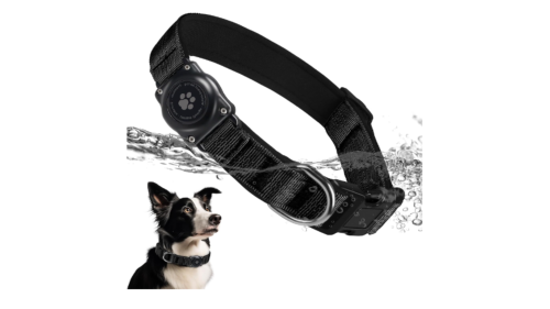 Air Tag Dog Collar.png