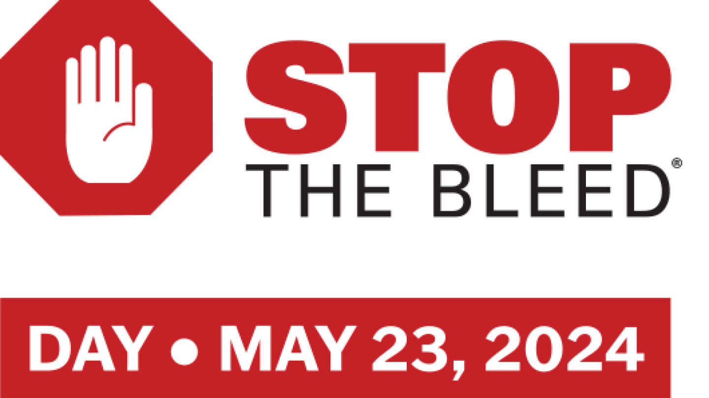 STB_Day_2024_logo.png
