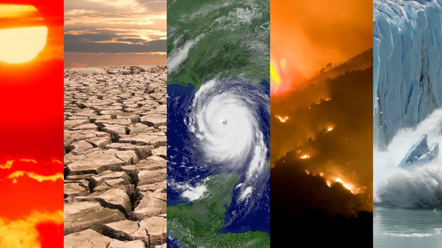 NOAA collage.jpg