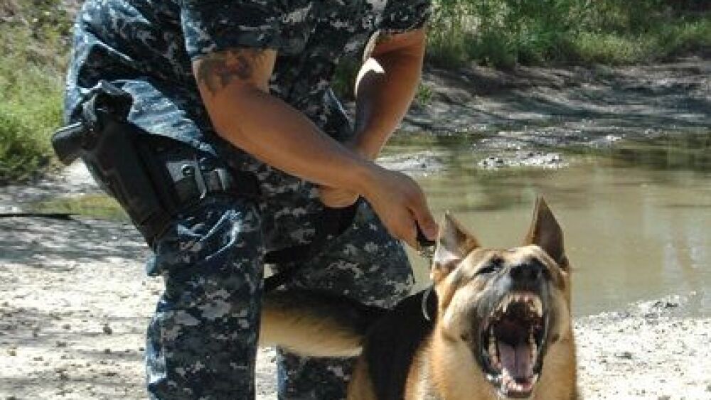 militar__LEO_combine.jpg