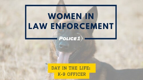 Screenshot 2024-08-14 095547.jpg