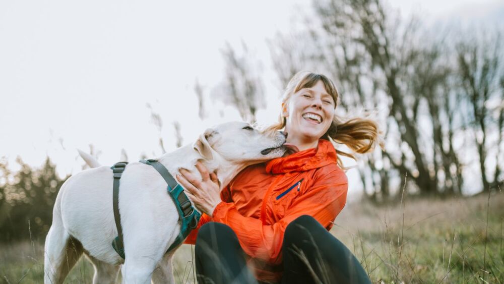 7 Ways Your Dog Helps Reduce Your Stress  