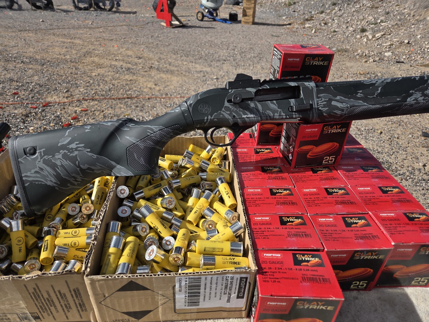 A300 20 gauge 7.jpg