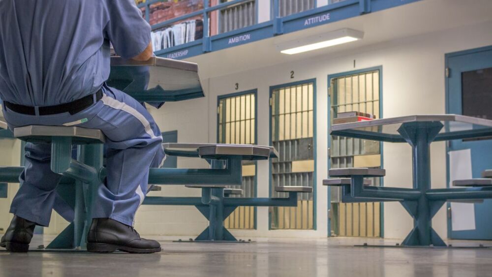 Not a luxury: How technology can protect inmate mental health