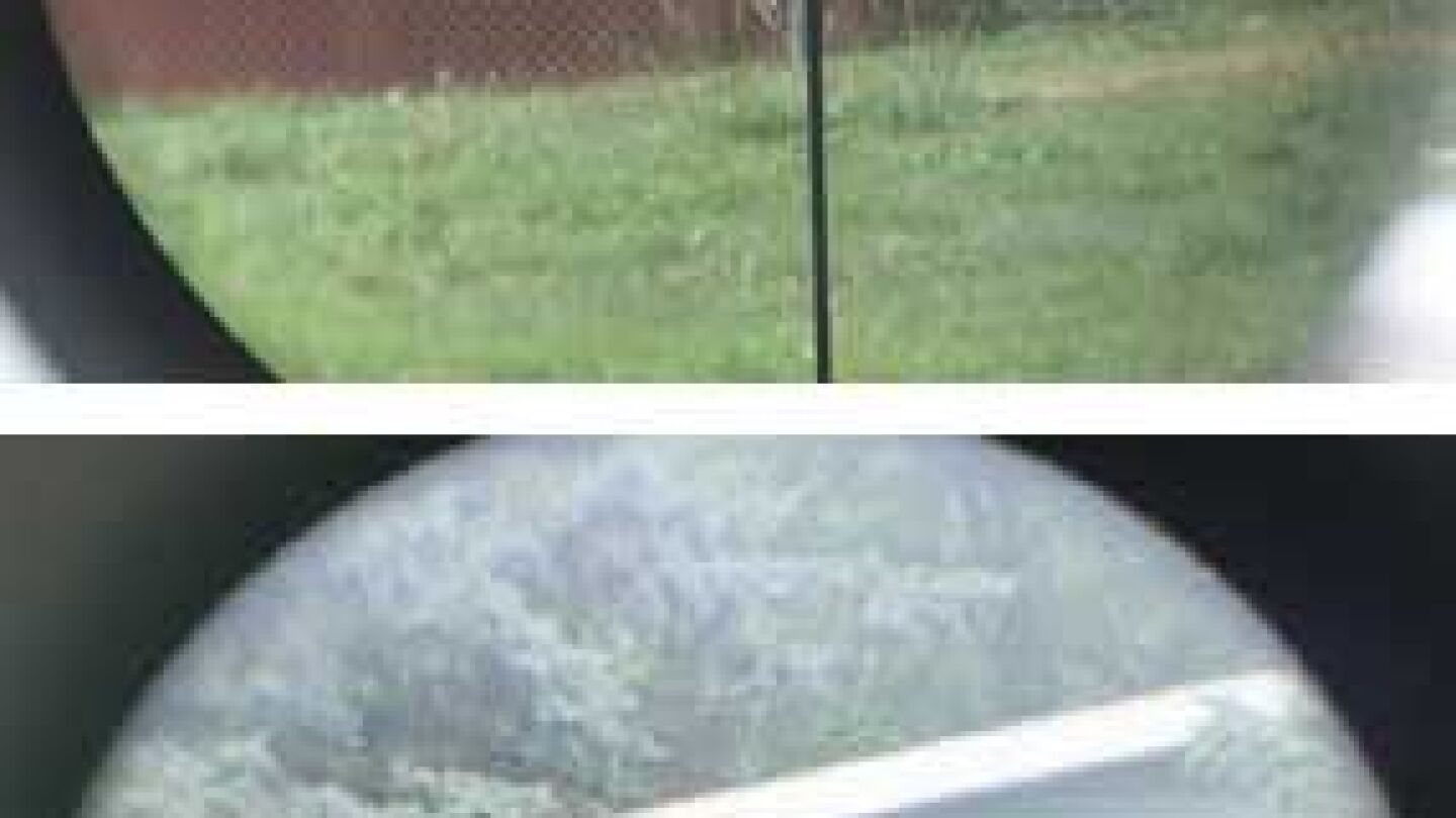 Designated Marksman optics: A buyer's guide