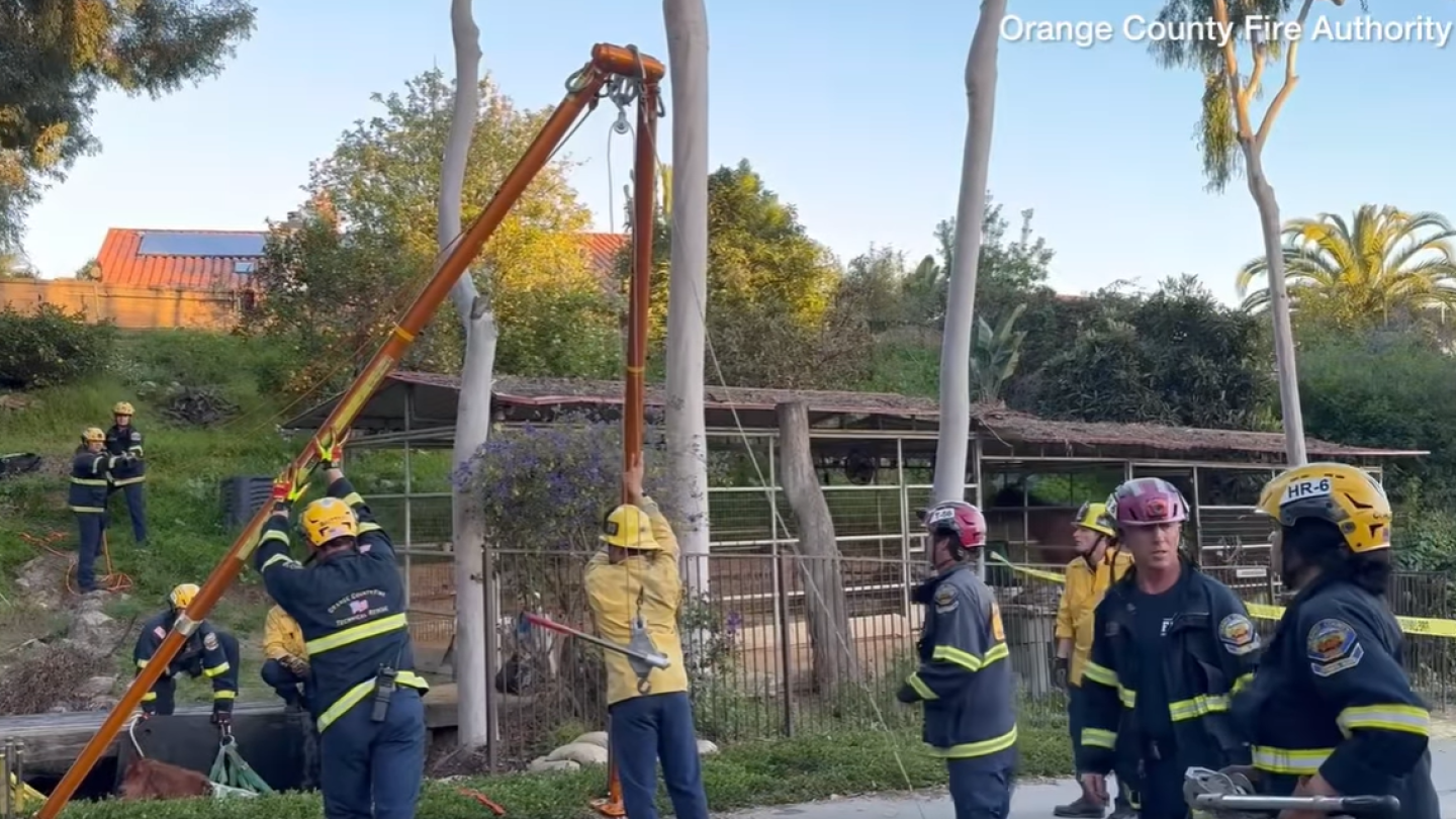 Watch: Calif. FFs face challenging rescue while removing horse from trench