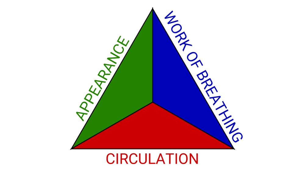 How to use the pediatric assessment triangle to evaluate adult EMS patients